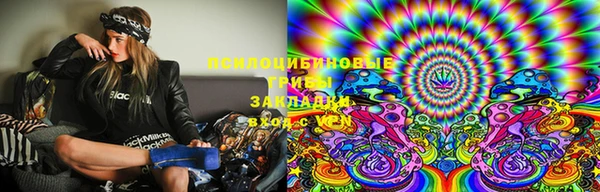 ПСИЛОЦИБИНОВЫЕ ГРИБЫ Кукмор