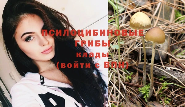 ПСИЛОЦИБИНОВЫЕ ГРИБЫ Кукмор